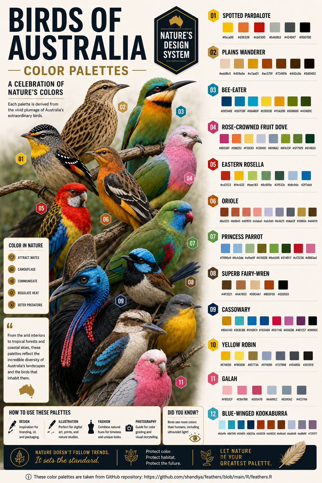 ./images/feathers.png